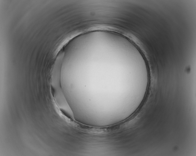 X0000116281049200912211815