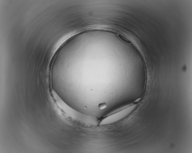 X0000116281050200912211815