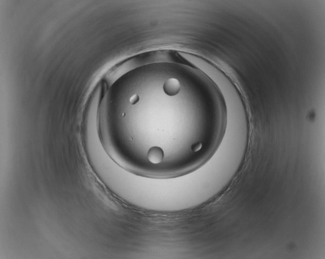 X0000116281051200912211815