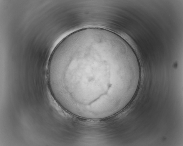 X0000116281052200912211815