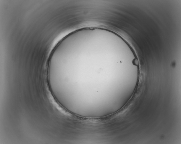 X0000116281053200912211815