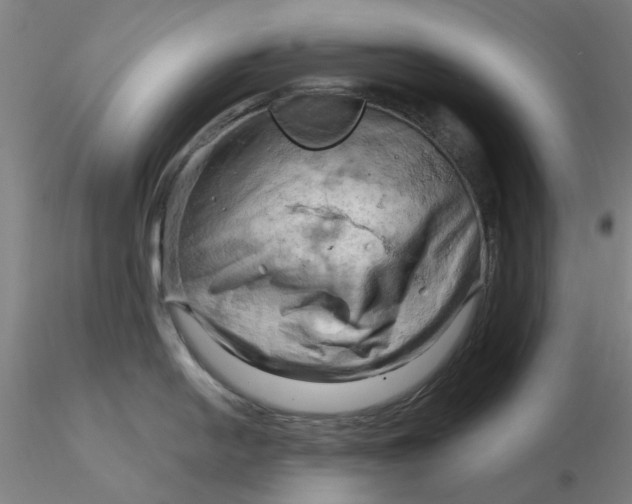 X0000116281054200912211815