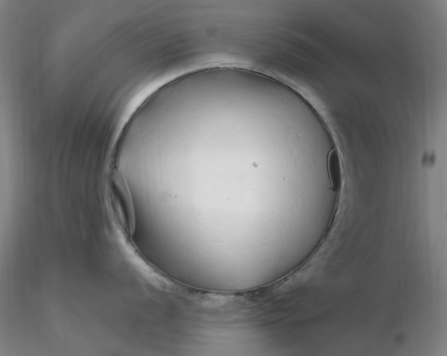 X0000116281056200912211815