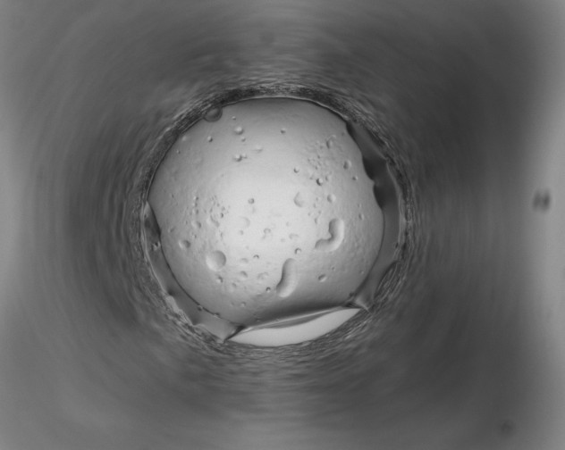 X0000116281057200912211814