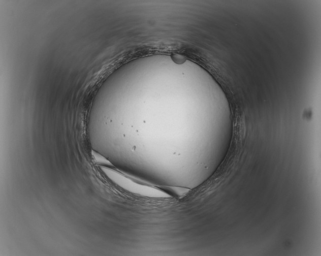 X0000116281058200912211814