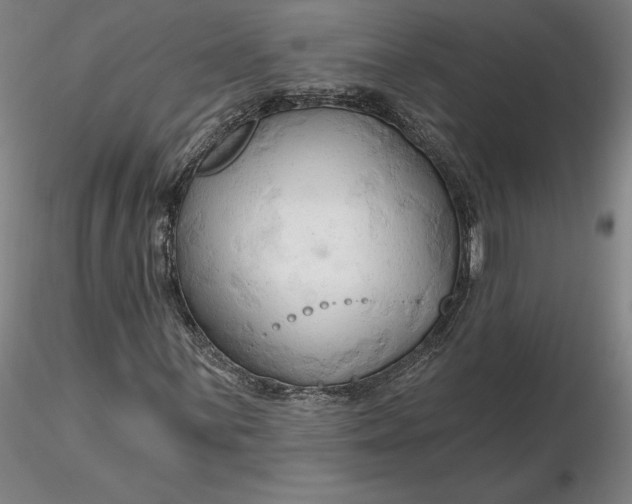 X0000116281059200912211814