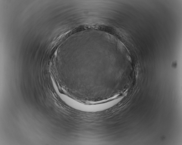 X0000116281060200912211814