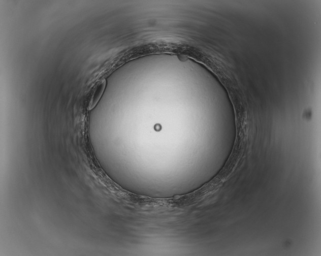 X0000116281061200912211814