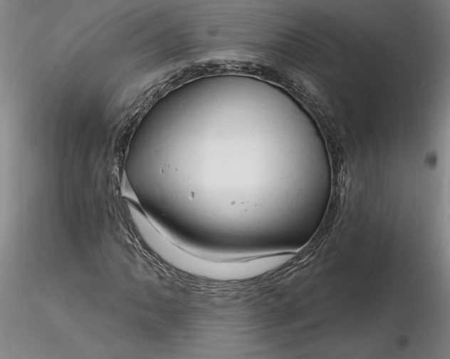 X0000116281062200912211814