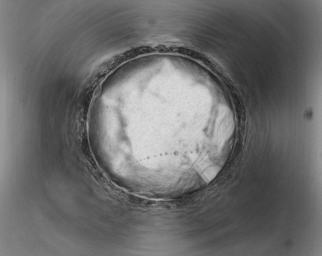 X0000116281063200912211814