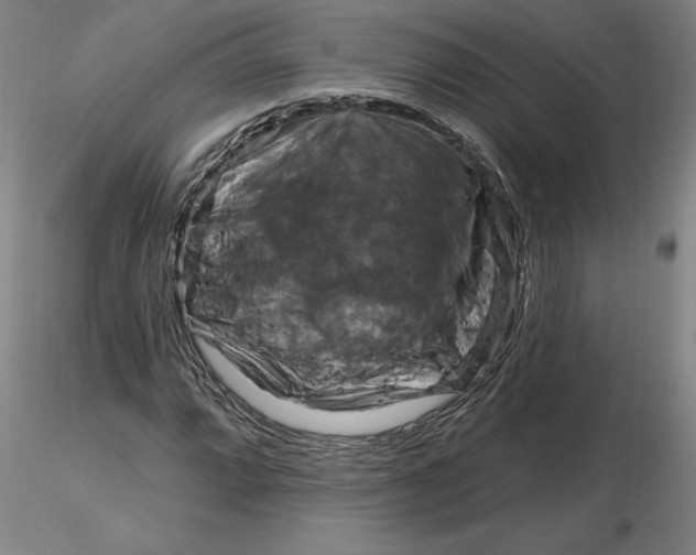 X0000116281064200912211814