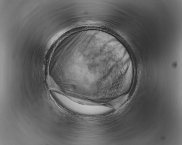 X0000116281066200912211814