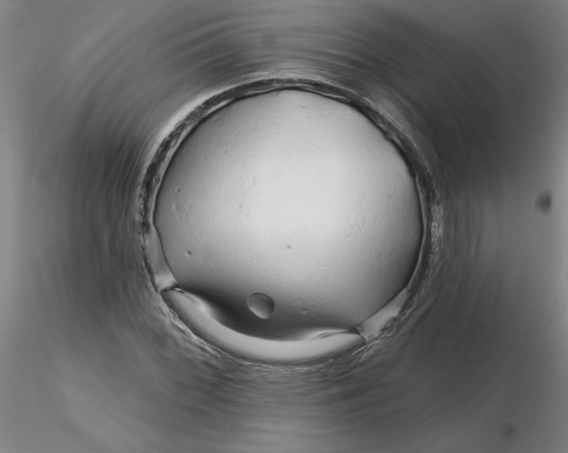 X0000116281068200912211814