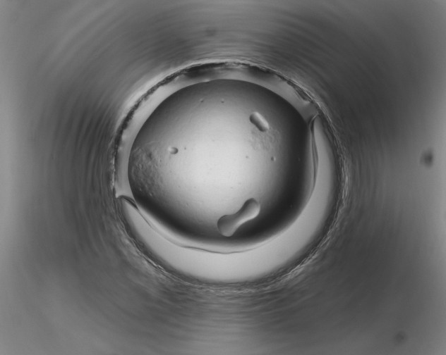 X0000116281069200912211814