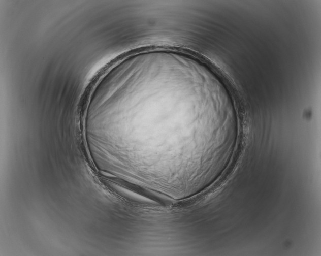 X0000116281070200912211814