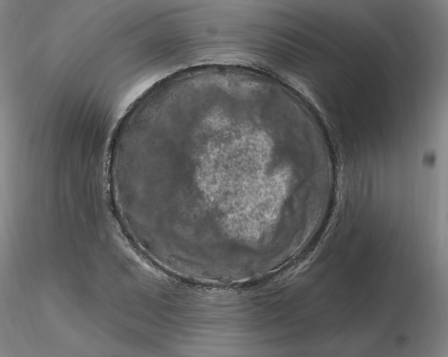 X0000116281071200912211814