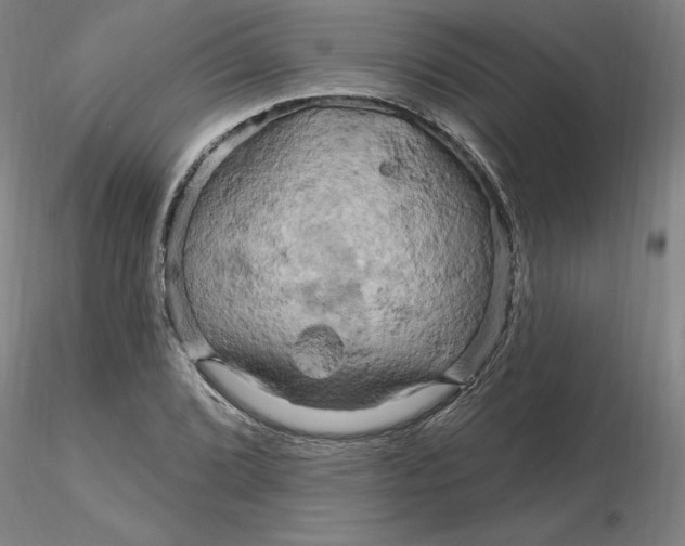 X0000116281072200912211814