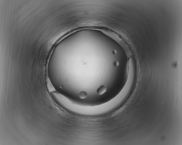 X0000116281073200912211814