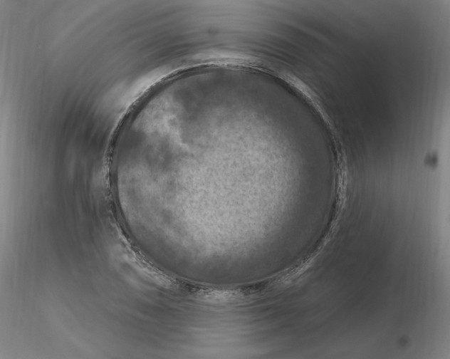 X0000116281074200912211814