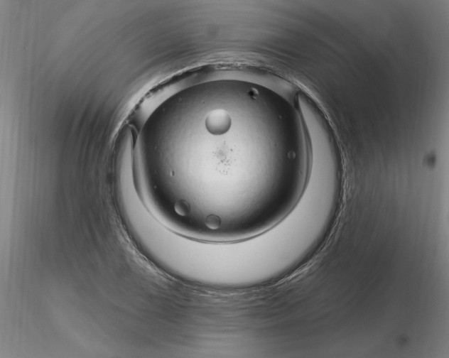 X0000116281075200912211814