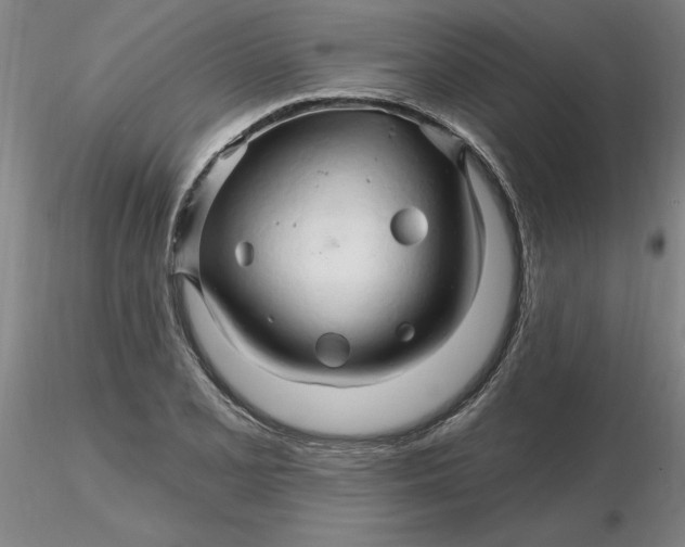 X0000116281077200912211814