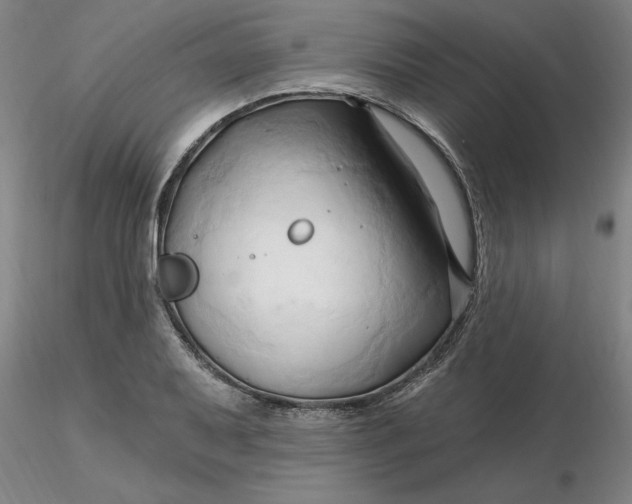 X0000116281079200912211814