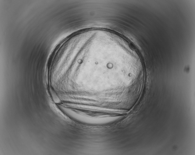 X0000116281080200912211814