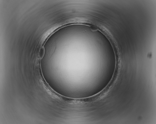 X0000116281081200912211814