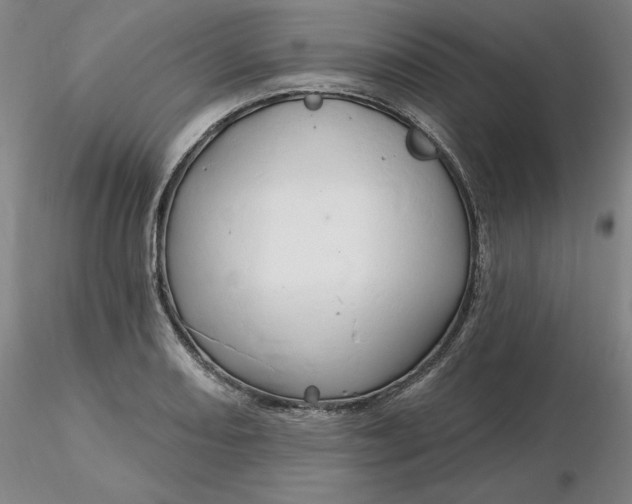 X0000116281082200912211814