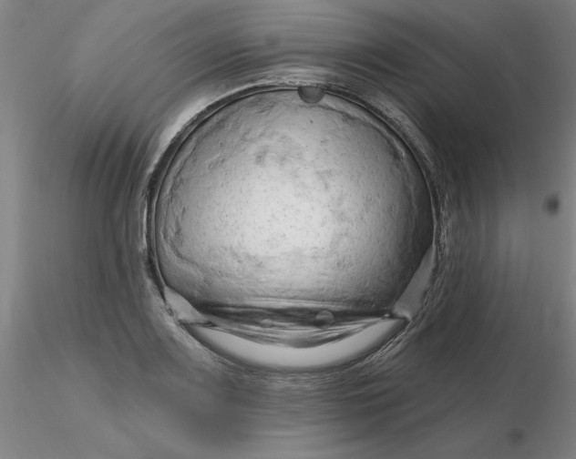 X0000116281083200912211814