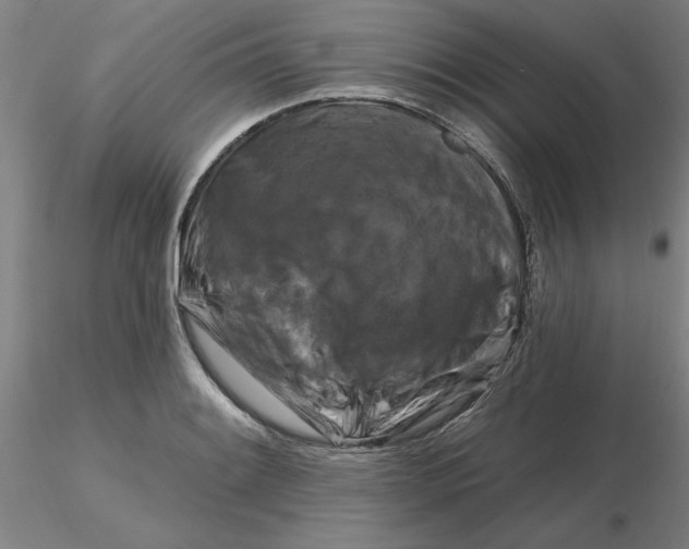 X0000116281084200912211814