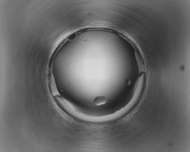 X0000116281085200912211814