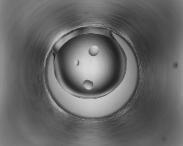 X0000116281087200912211814