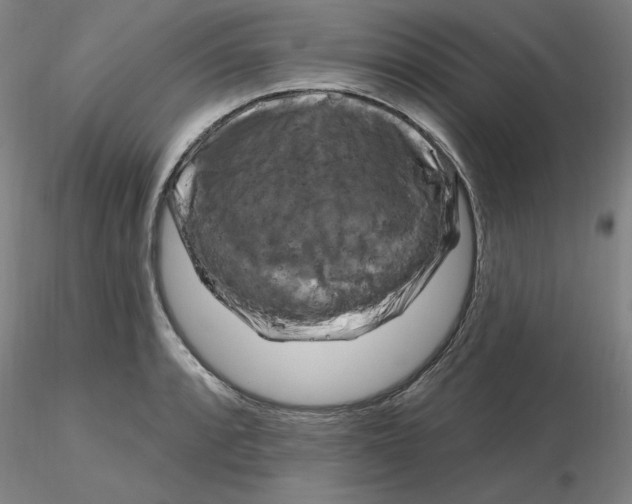 X0000116281088200912211814