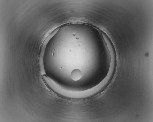 X0000116281089200912211814