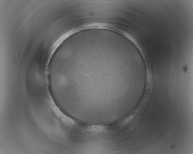 X0000116281090200912211814