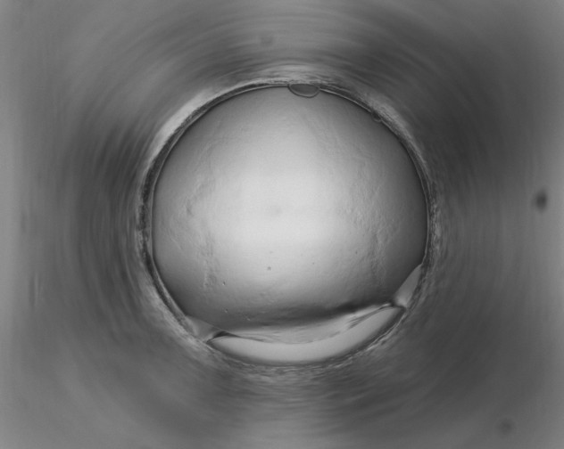 X0000116281091200912211814