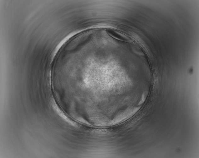 X0000116281092200912211814