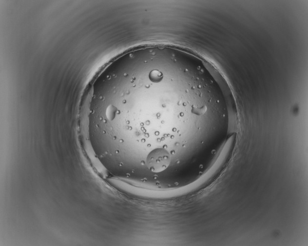 X0000116281093200912211814