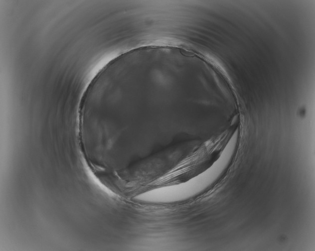 X0000116281095200912211814