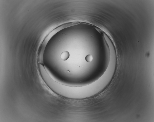 X0000116281096200912211814