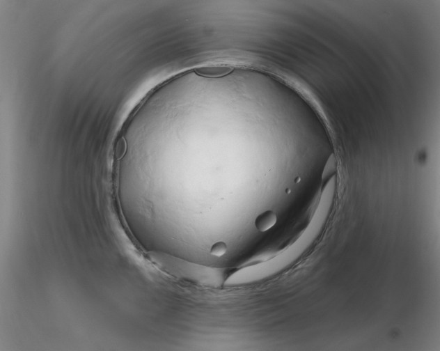 X0000116281099200912211814