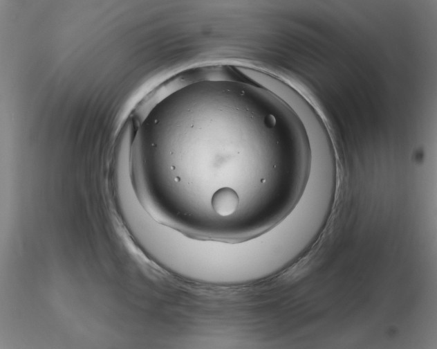 X0000116281101200912211814