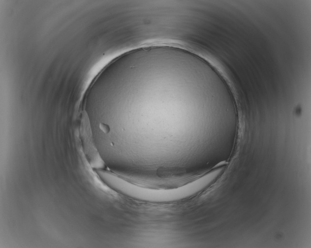 X0000116281102200912211814