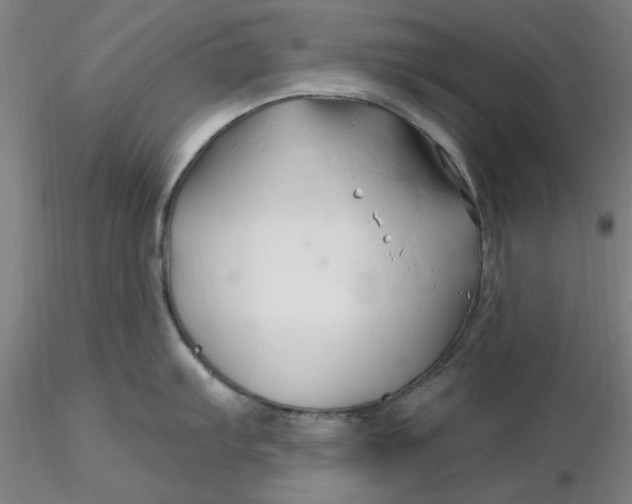 X0000116281103200912211814