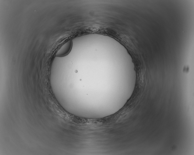 X0000116281105200912211813