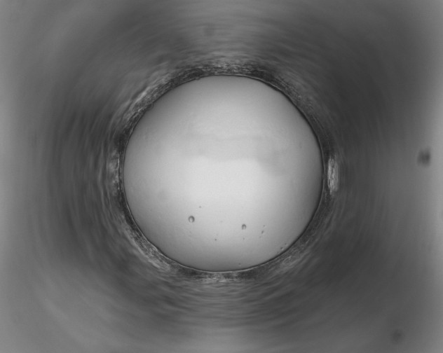 X0000116281107200912211813