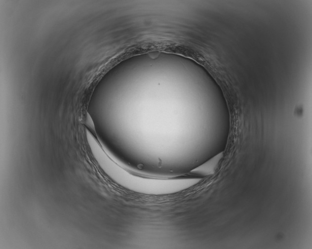 X0000116281109200912211813