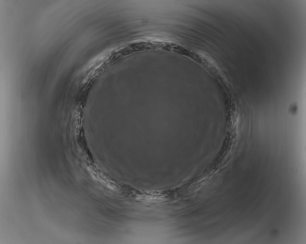 X0000116281110200912211813