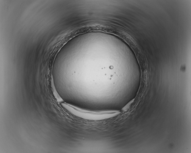 X0000116281111200912211813